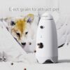 Pet Smart Feeding Equipment Cat And Dog Feeder Pets Products - Imagen 5