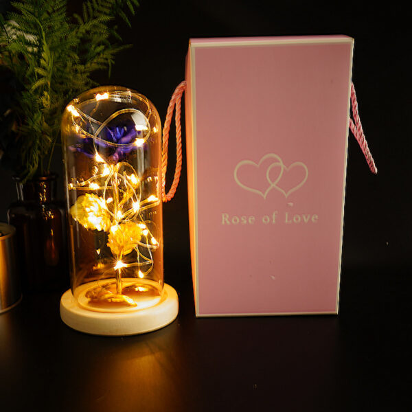 Preserved Flower Glass Cover Gold Foil Rose Flower Mothers Day Valentines Day Birthday Gift Gift Decoration Cross-Border Amazon - Imagen 4