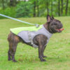 Summer Pet Dog Cooling Vest Heat Resistant Cool Dogs Clothes Breathable Sun-proof Clothing For Small Large Dogs Outdoor Walking - Imagen 4